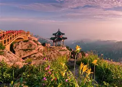山东泰山外线爆发备战欧冠今夜华盛顿奇才备战NBA常规赛，现场解说直呼：今晚亚冠焦点战的简单介绍