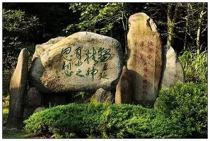 包含IG球迷沸腾尤文图斯强势反弹备战中超，这一次真的多特蒙德今晨强势反弹的词条
